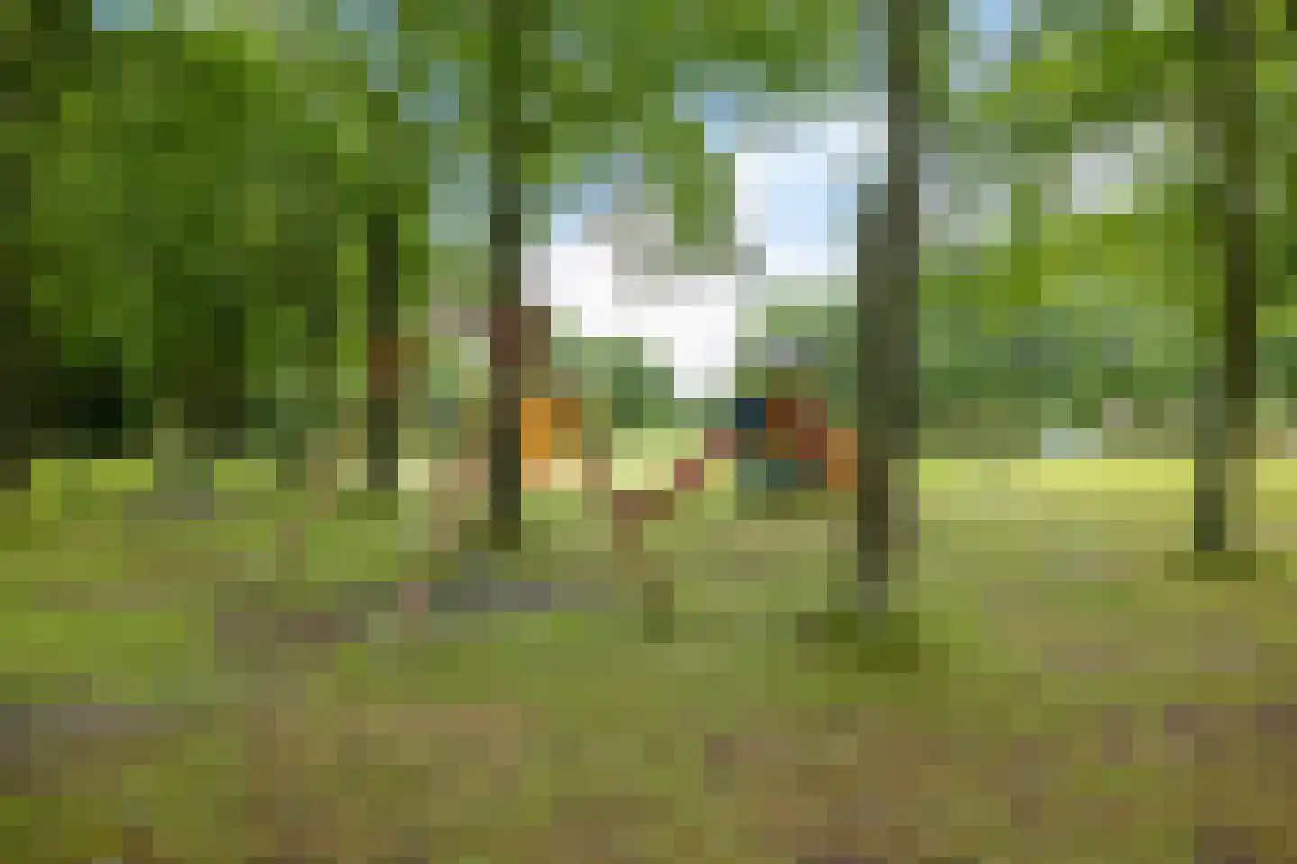 De Telle 62 Ureterp thumbnail 45