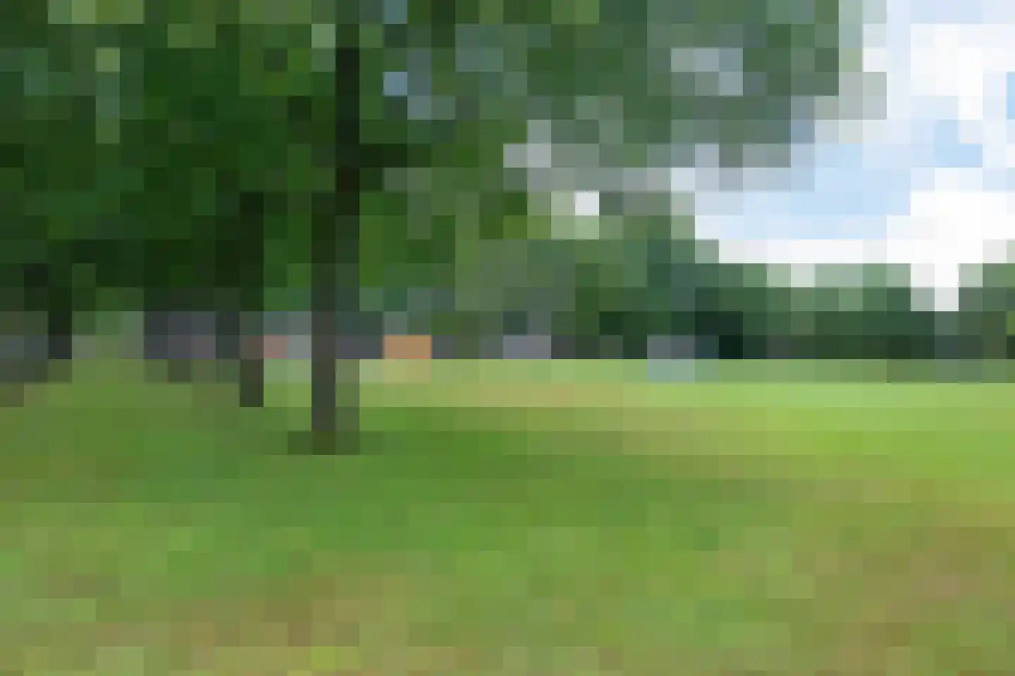 De Telle 62 Ureterp thumbnail 5