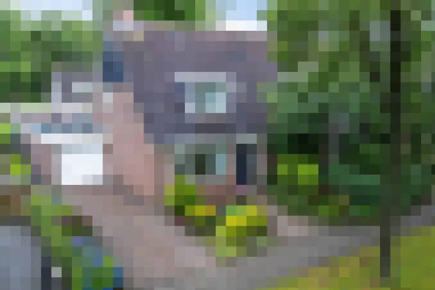 De Telle 62 Ureterp thumbnail 6