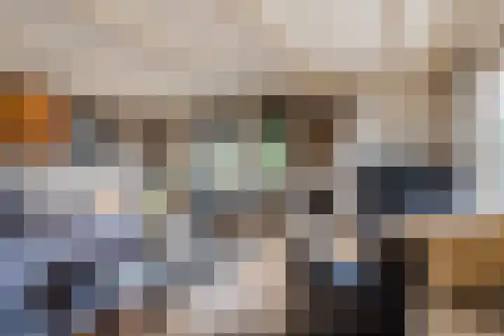 De Tellinghorst 13 Hoogeveen thumbnail 14