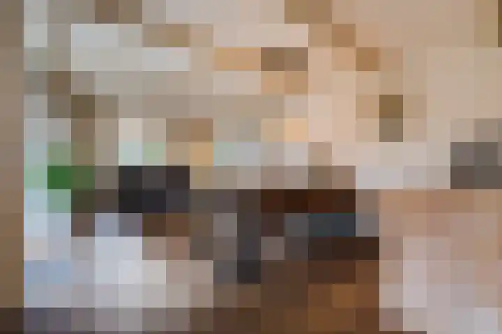De Tellinghorst 13 Hoogeveen thumbnail 18
