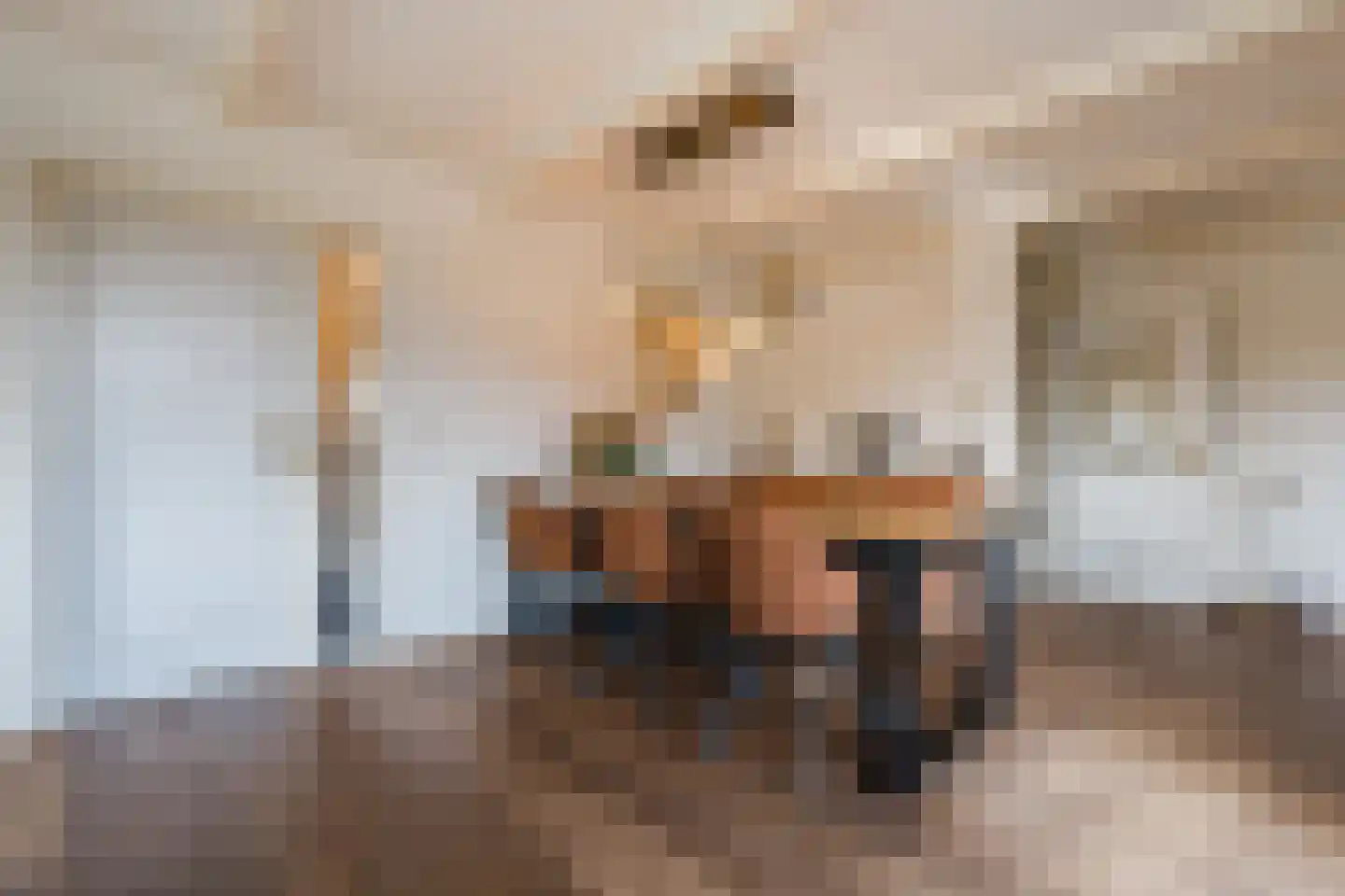 De Tellinghorst 13 Hoogeveen thumbnail 19
