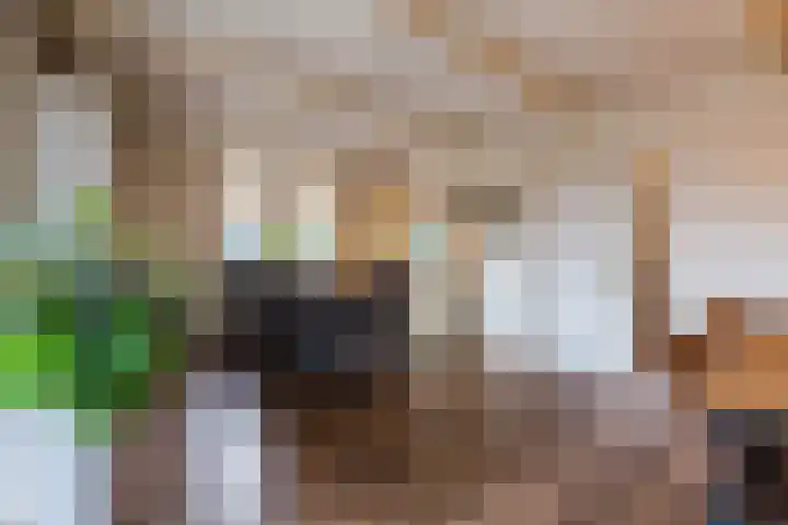 De Tellinghorst 13 Hoogeveen thumbnail 20