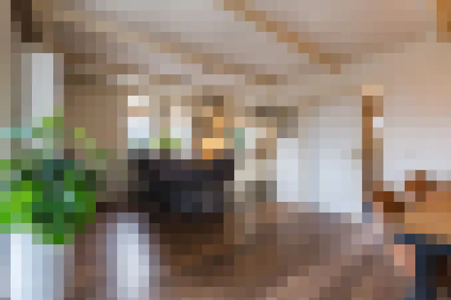 De Tellinghorst 13 Hoogeveen thumbnail 20