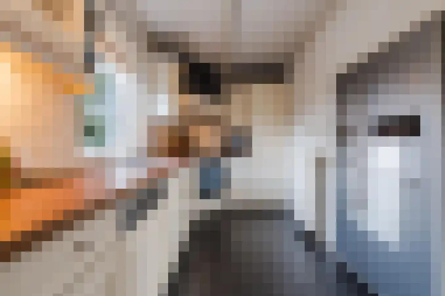 De Tellinghorst 13 Hoogeveen thumbnail 22