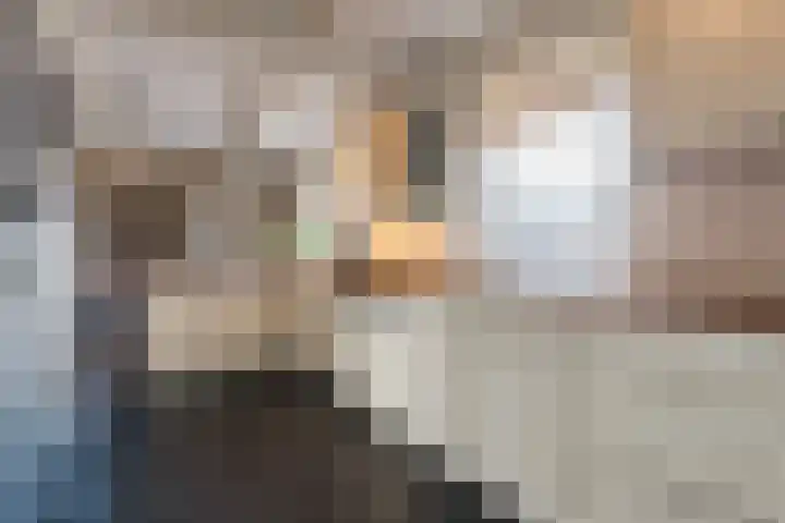 De Tellinghorst 13 Hoogeveen thumbnail 23