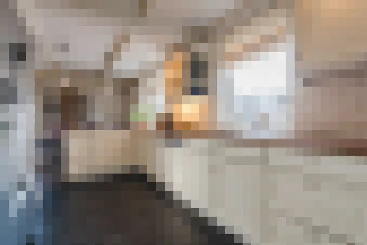 De Tellinghorst 13 Hoogeveen thumbnail 23