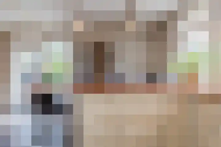 De Tellinghorst 13 Hoogeveen thumbnail 24