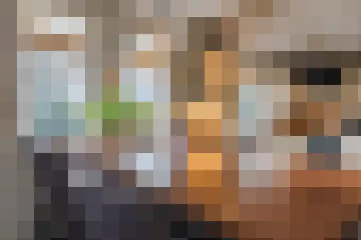 De Tellinghorst 13 Hoogeveen thumbnail 25