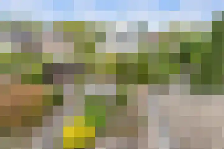 De Tellinghorst 13 Hoogeveen thumbnail 28