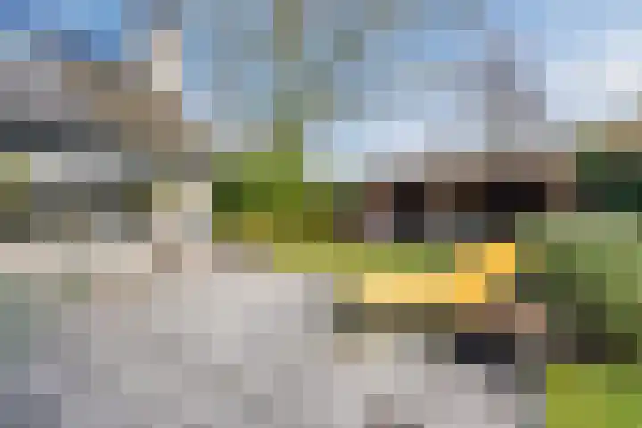 De Tellinghorst 13 Hoogeveen foto 3