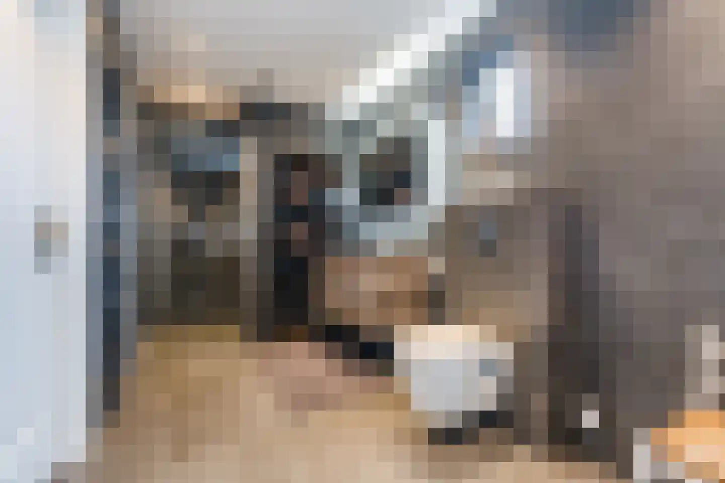 De Tellinghorst 13 Hoogeveen thumbnail 31