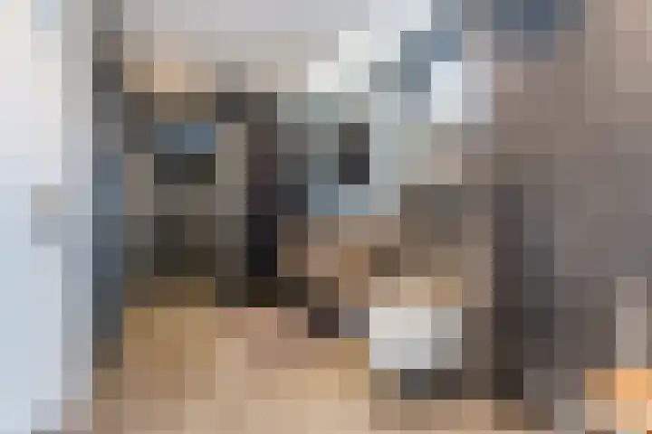 De Tellinghorst 13 Hoogeveen thumbnail 31