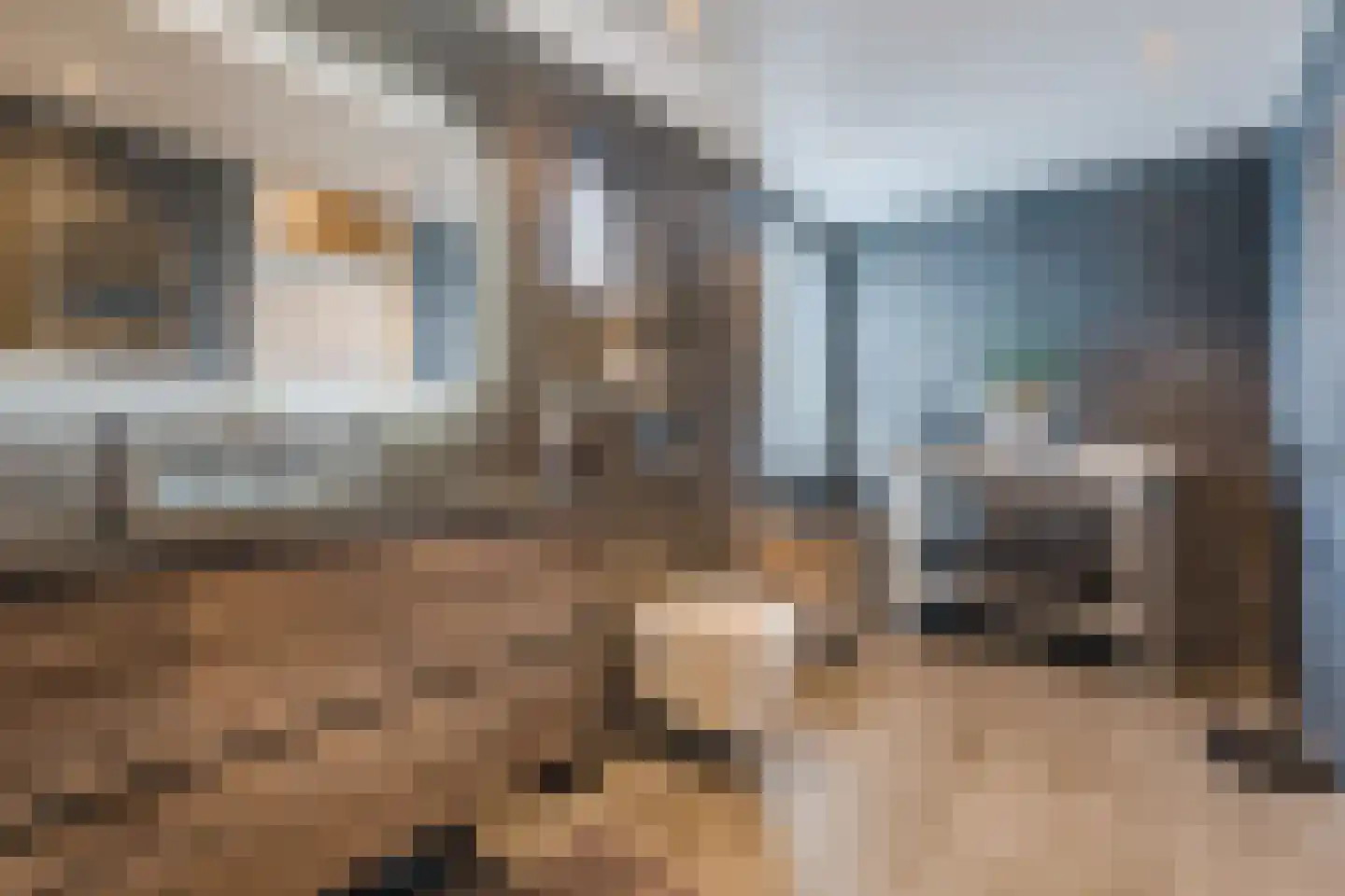De Tellinghorst 13 Hoogeveen thumbnail 32