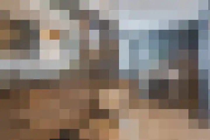 De Tellinghorst 13 Hoogeveen thumbnail 32