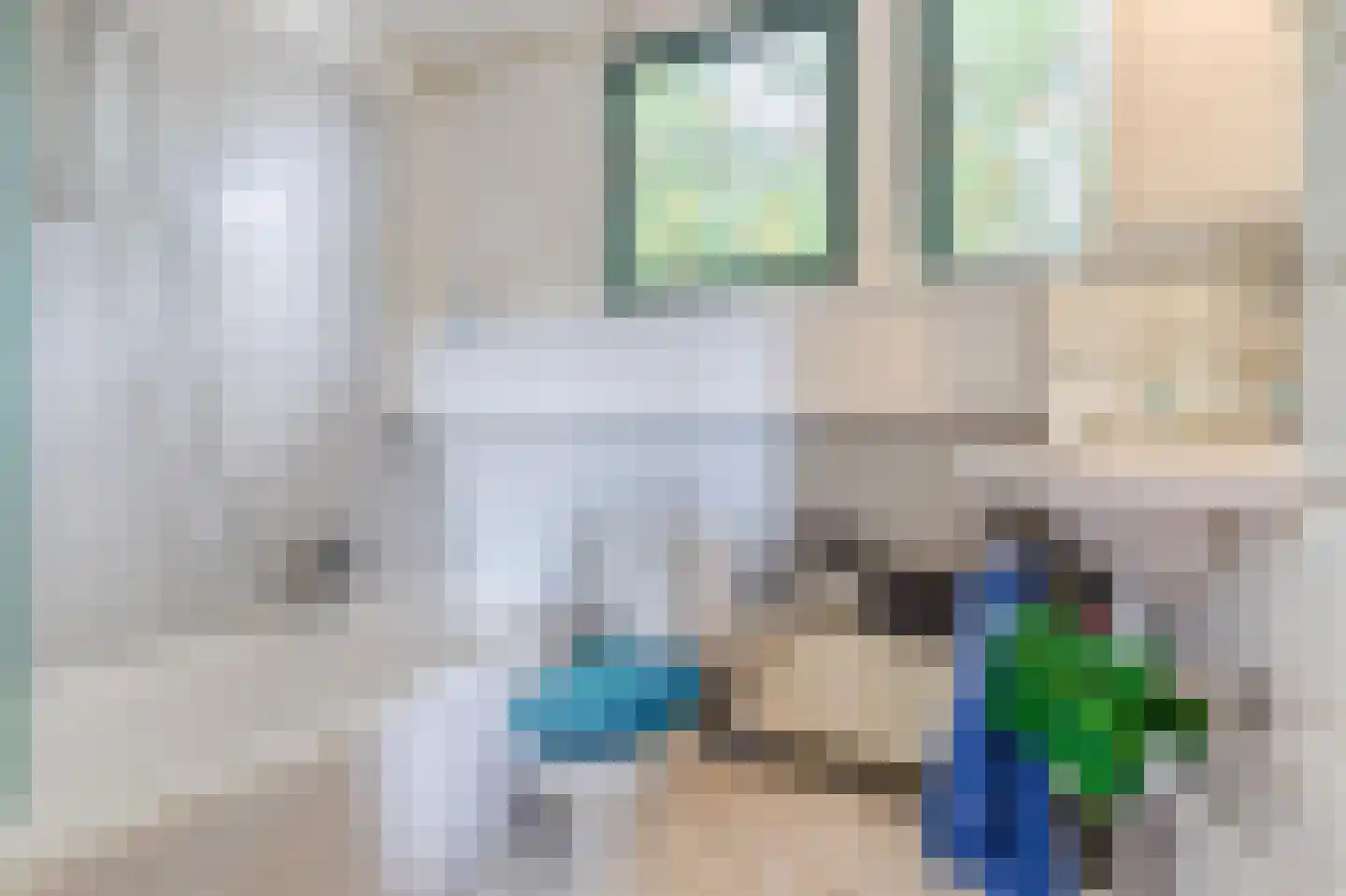 De Tellinghorst 13 Hoogeveen thumbnail 33