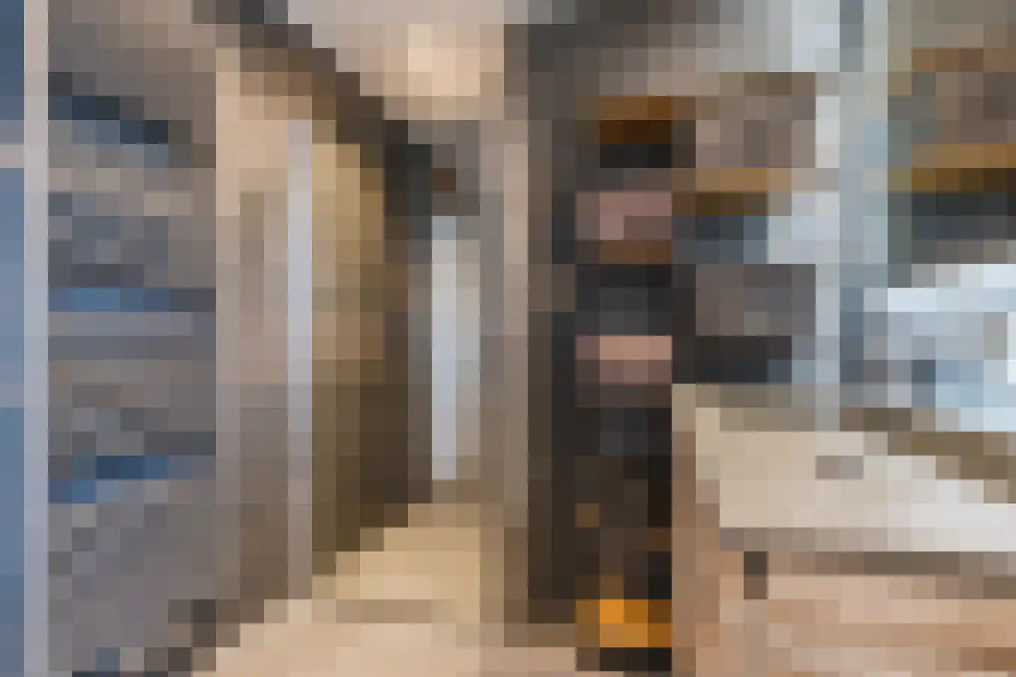 De Tellinghorst 13 Hoogeveen thumbnail 33