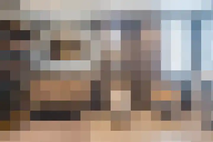 De Tellinghorst 13 Hoogeveen thumbnail 34