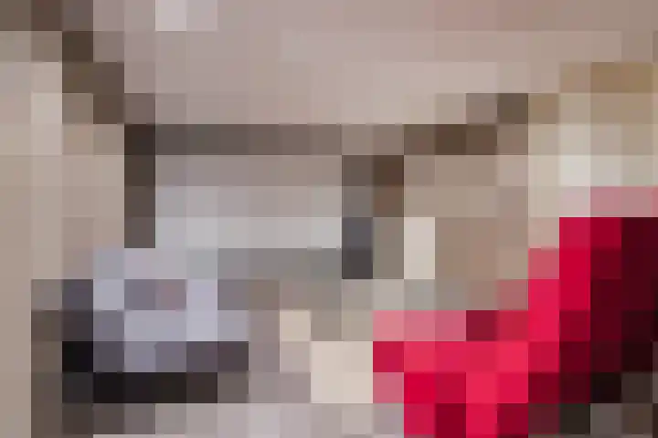 De Tellinghorst 13 Hoogeveen thumbnail 36