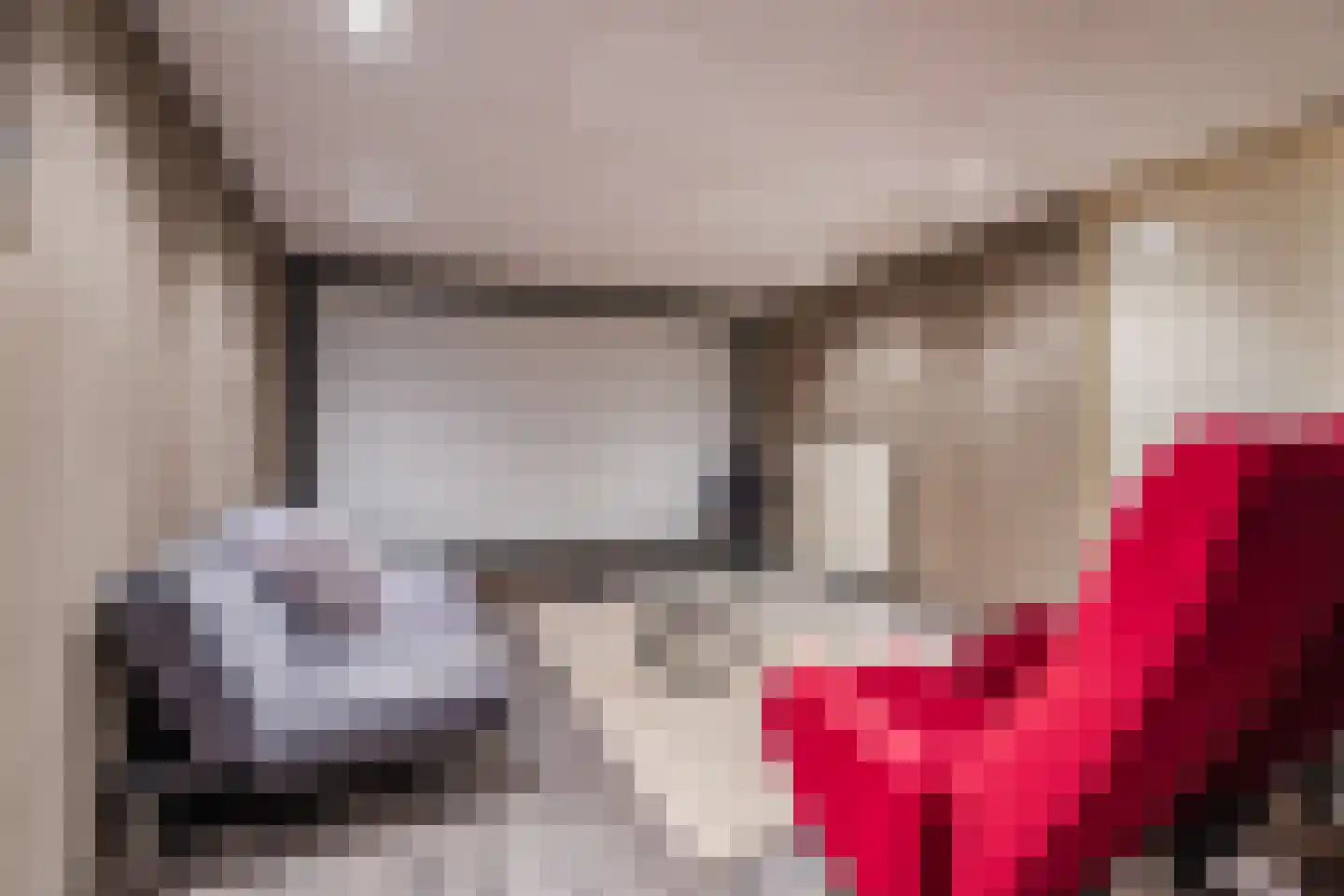 De Tellinghorst 13 Hoogeveen thumbnail 36
