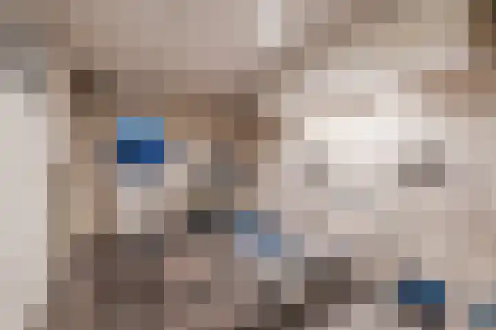 De Tellinghorst 13 Hoogeveen thumbnail 44