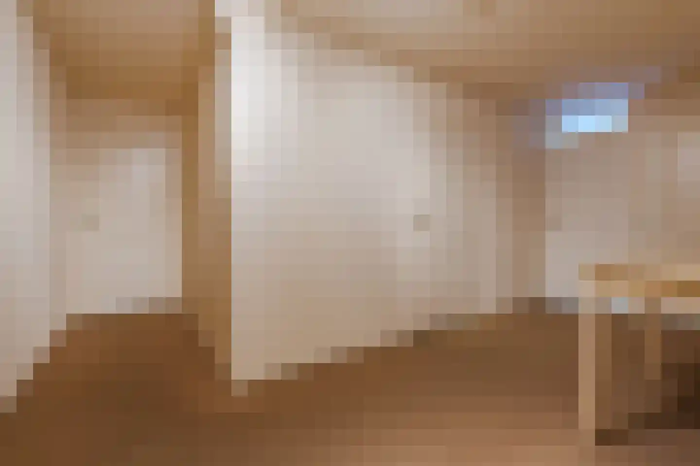 De Tellinghorst 13 Hoogeveen thumbnail 48