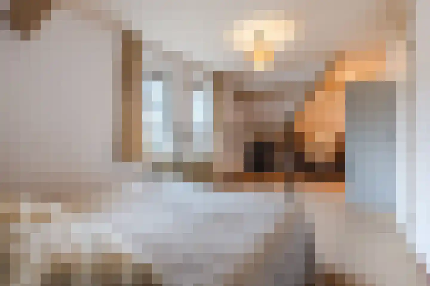 De Tellinghorst 13 Hoogeveen thumbnail 53