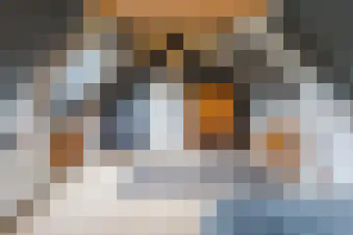 De Tellinghorst 13 Hoogeveen thumbnail 56