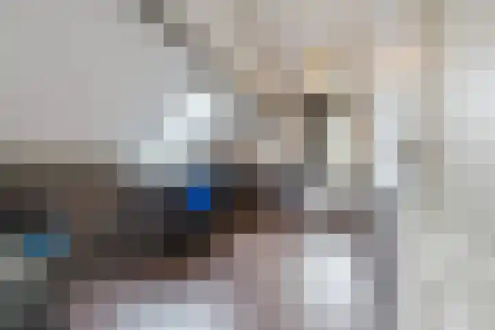 De Tellinghorst 13 Hoogeveen thumbnail 57