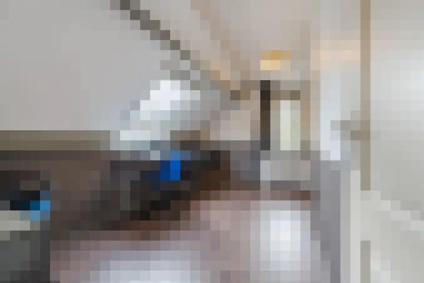 De Tellinghorst 13 Hoogeveen thumbnail 57