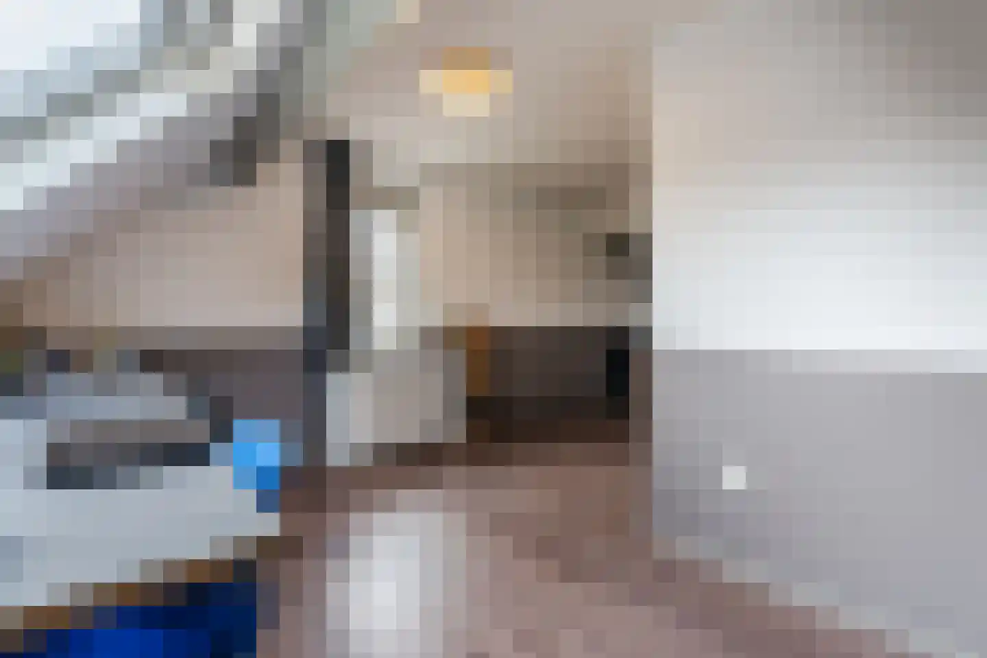 De Tellinghorst 13 Hoogeveen thumbnail 58