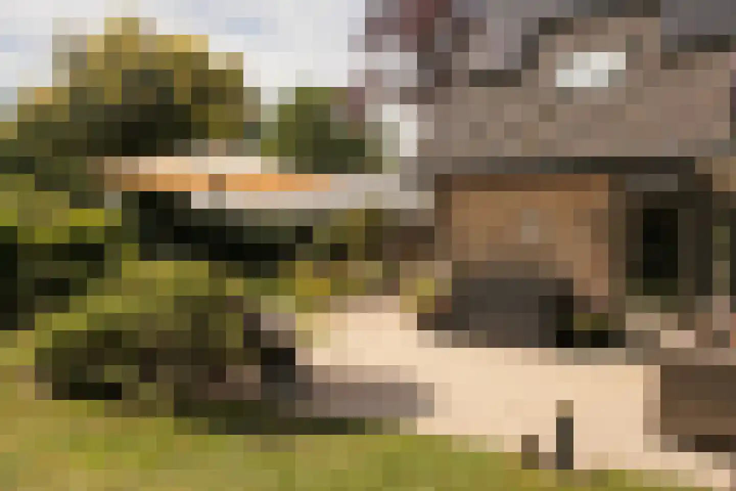 De Tellinghorst 13 Hoogeveen thumbnail 6