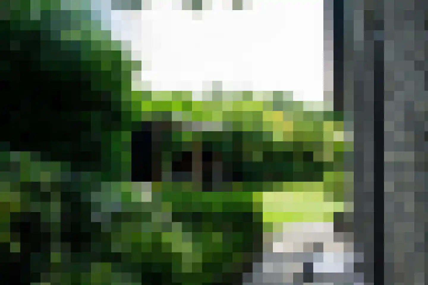 De Tellinghorst 13 Hoogeveen thumbnail 61