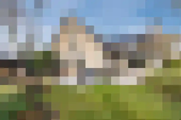 De Tellinghorst 13 Hoogeveen thumbnail 64