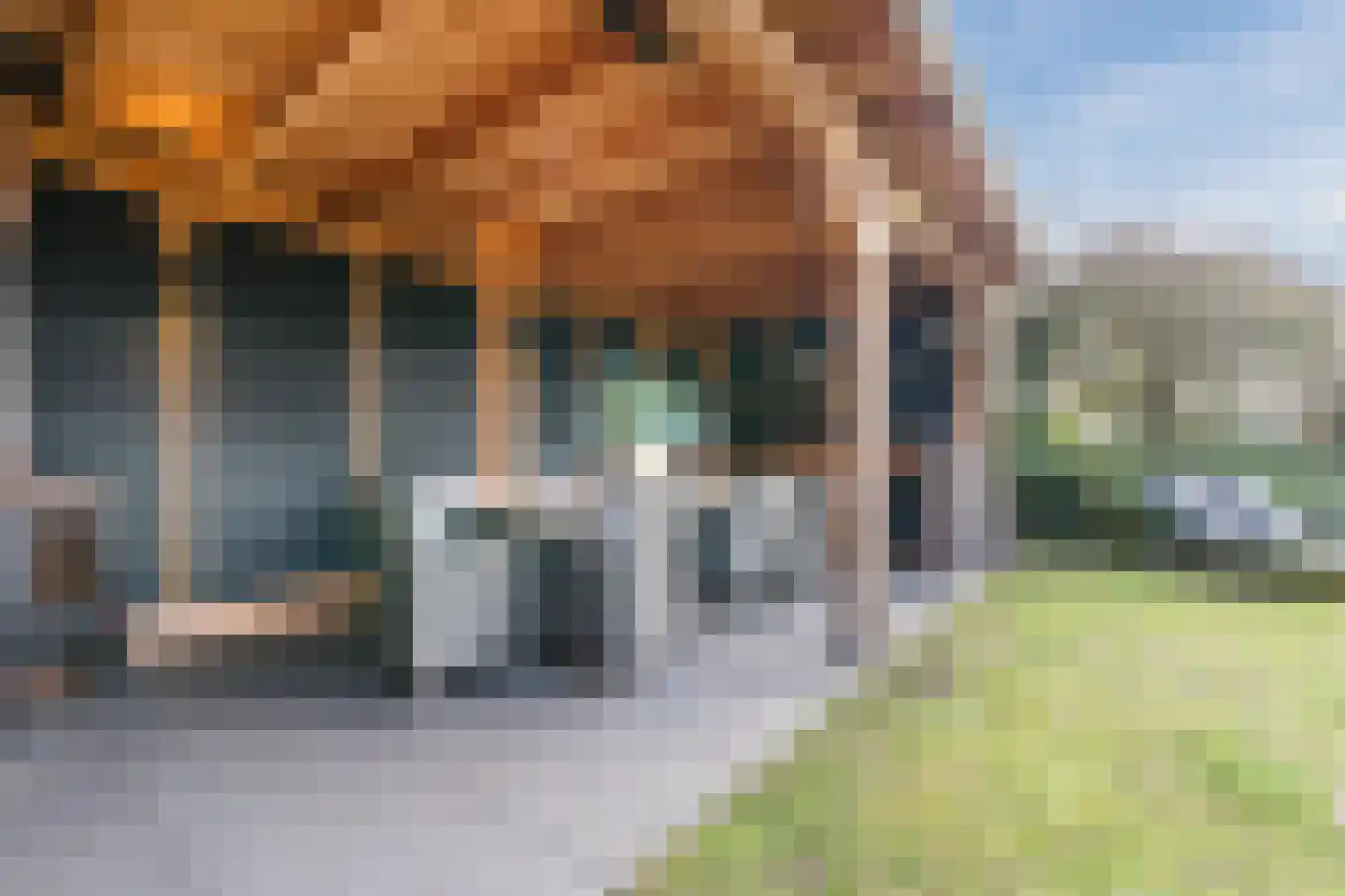 De Tellinghorst 13 Hoogeveen thumbnail 67