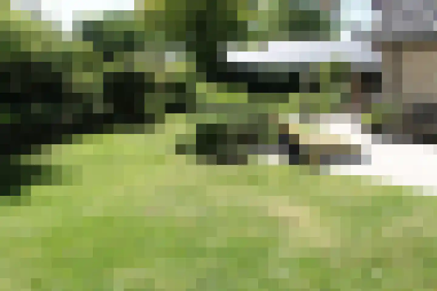 De Tellinghorst 13 Hoogeveen thumbnail 68