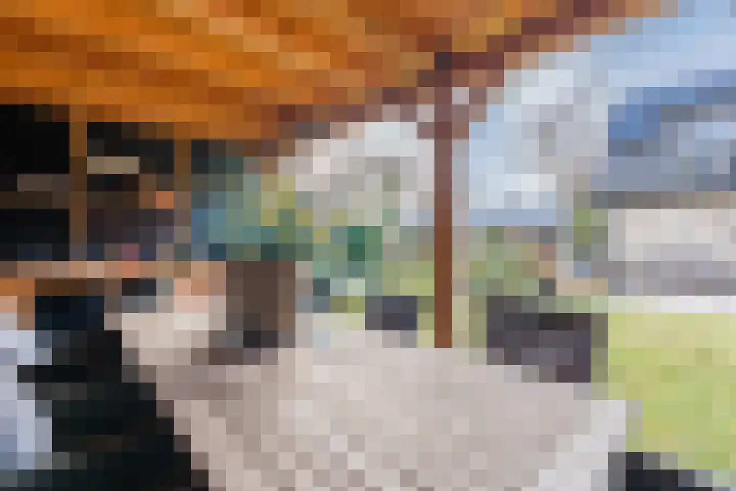De Tellinghorst 13 Hoogeveen thumbnail 68