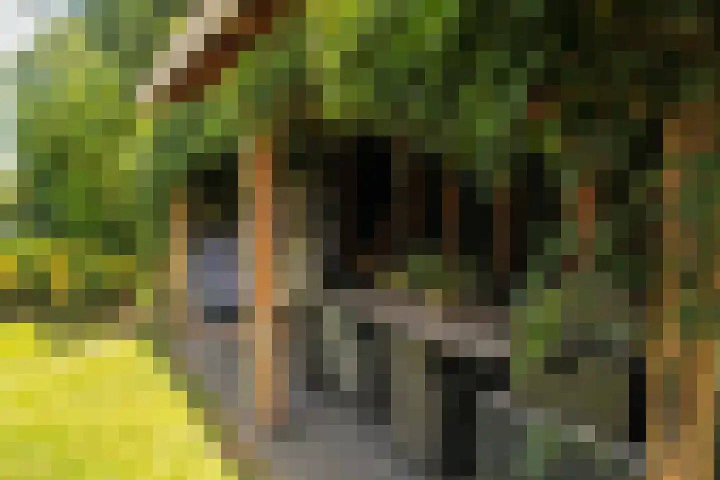 De Tellinghorst 13 Hoogeveen thumbnail 70