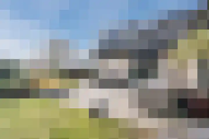 De Tellinghorst 13 Hoogeveen thumbnail 70
