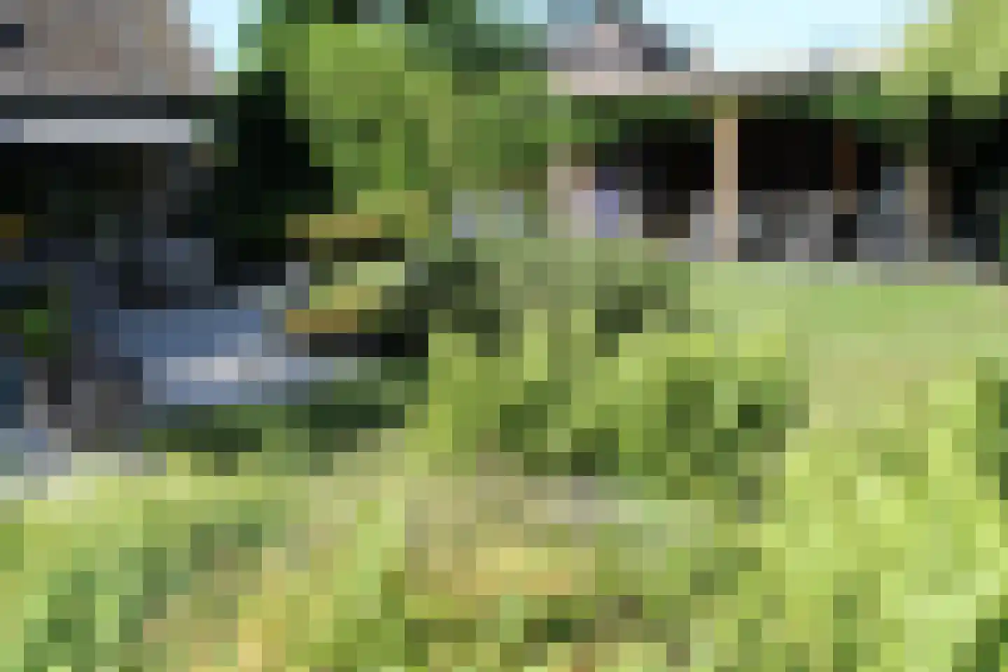 De Tellinghorst 13 Hoogeveen thumbnail 73