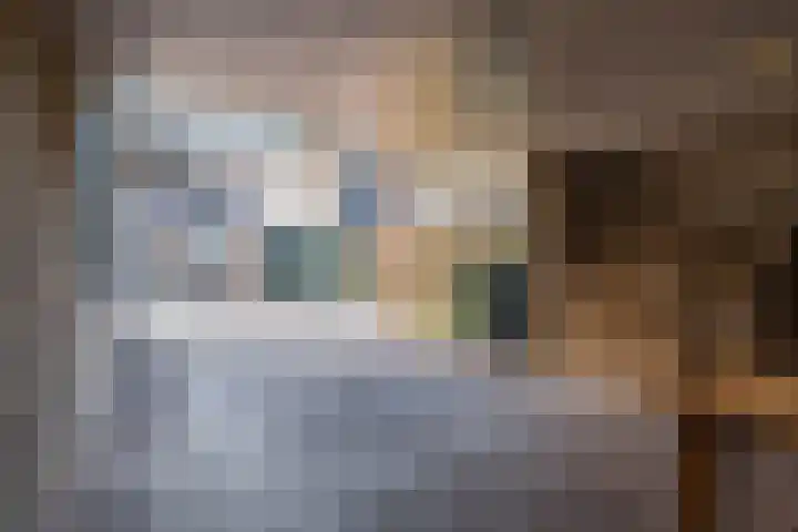 De Tellinghorst 13 Hoogeveen thumbnail 9