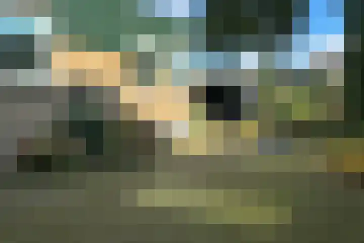 De Tellinghorst 14 Hoogeveen thumbnail 10