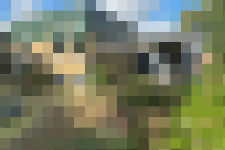 De Tellinghorst 14 Hoogeveen thumbnail 11