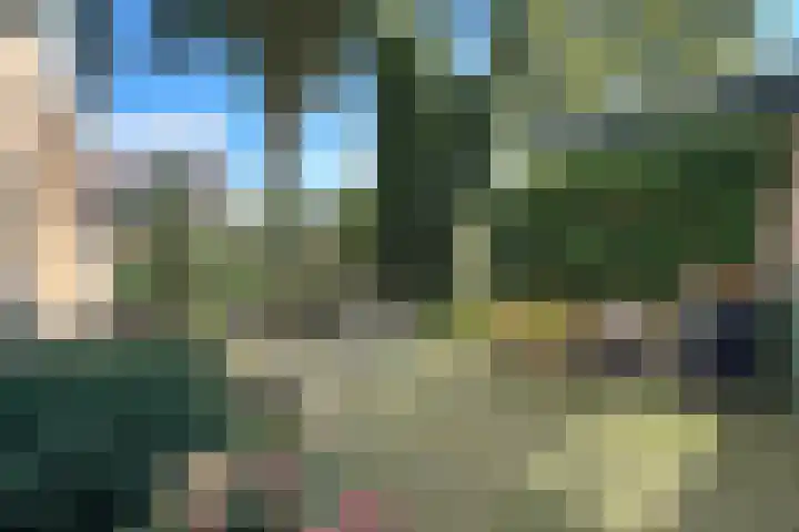 De Tellinghorst 14 Hoogeveen thumbnail 12
