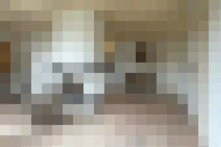 De Tellinghorst 14 Hoogeveen thumbnail 16