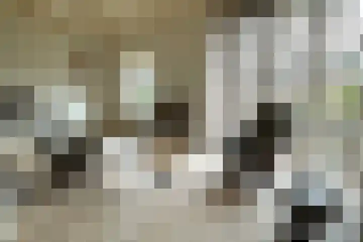 De Tellinghorst 14 Hoogeveen thumbnail 17
