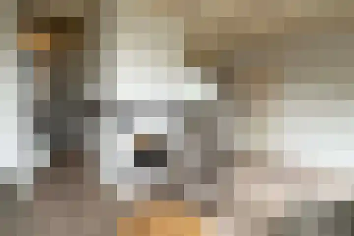 De Tellinghorst 14 Hoogeveen thumbnail 18
