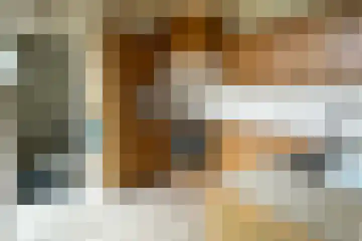 De Tellinghorst 14 Hoogeveen thumbnail 20