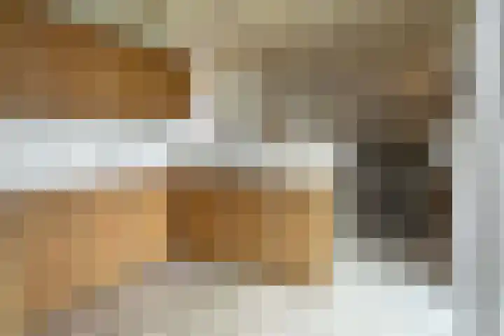 De Tellinghorst 14 Hoogeveen thumbnail 21