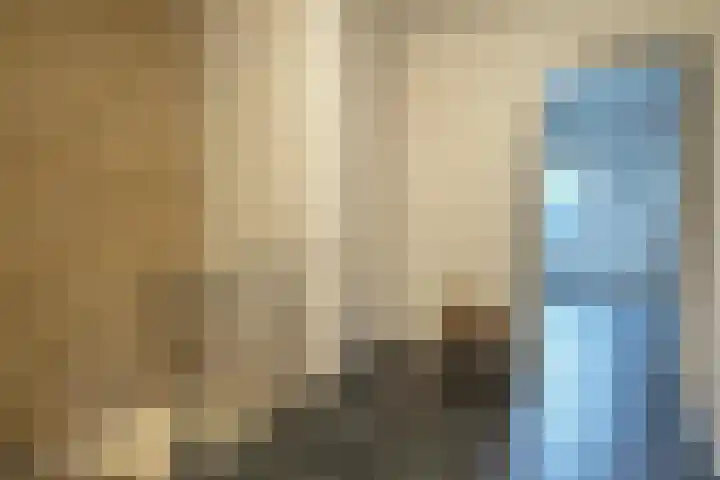 De Tellinghorst 14 Hoogeveen thumbnail 25